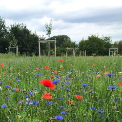 Natur- und Landschaftspflege